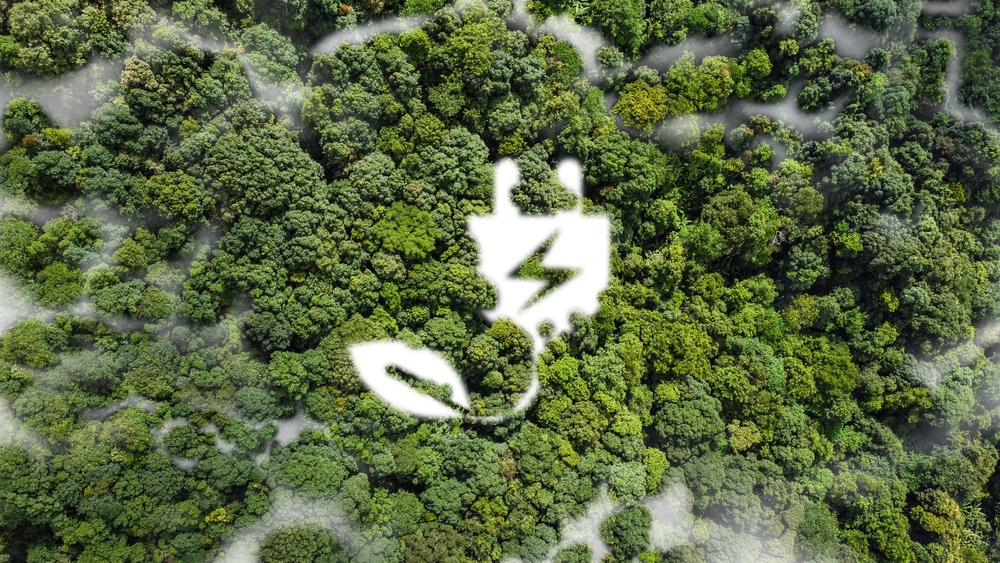 Energiewende und das Potenzial des Energiesharings